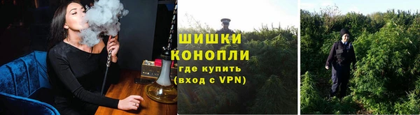 стаф Корсаков
