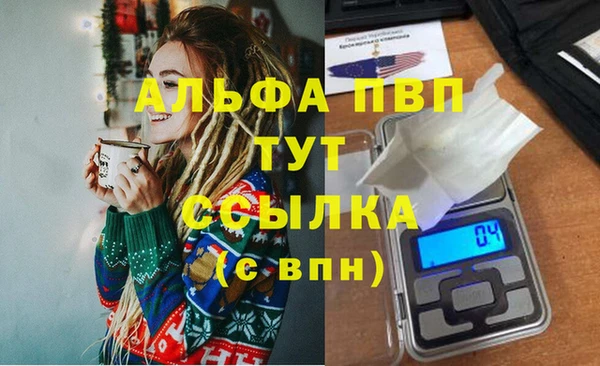дурь Ельня