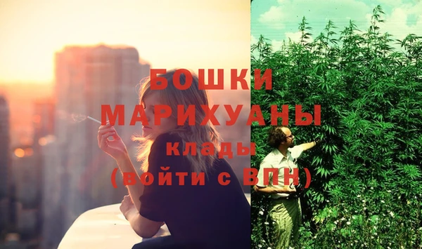 дурь Ельня