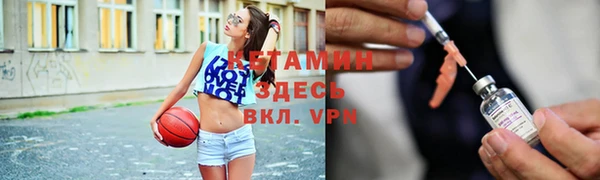 дурь Ельня