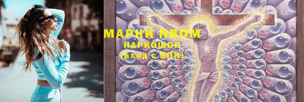 дурь Ельня