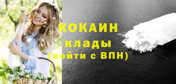 дурь Ельня