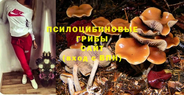 а пвп мука Елабуга