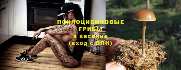 а пвп мука Елизово