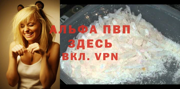 дурь Ельня