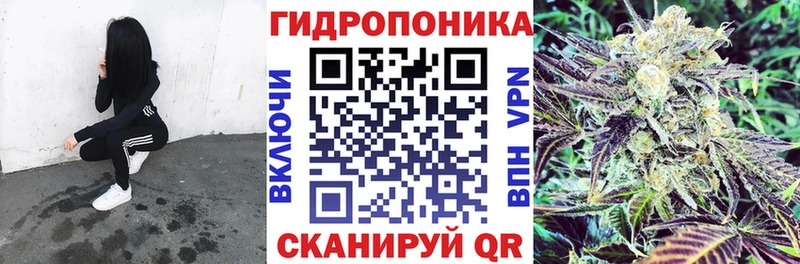 купить   Старица  Марихуана планчик 